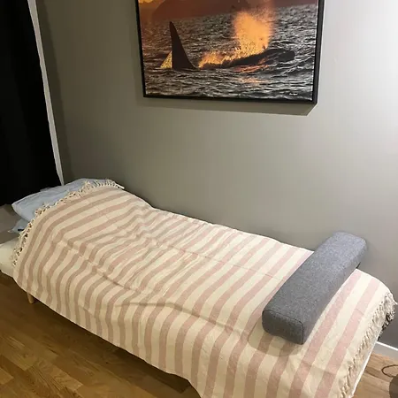 Cosy - Tromsoya アパート *